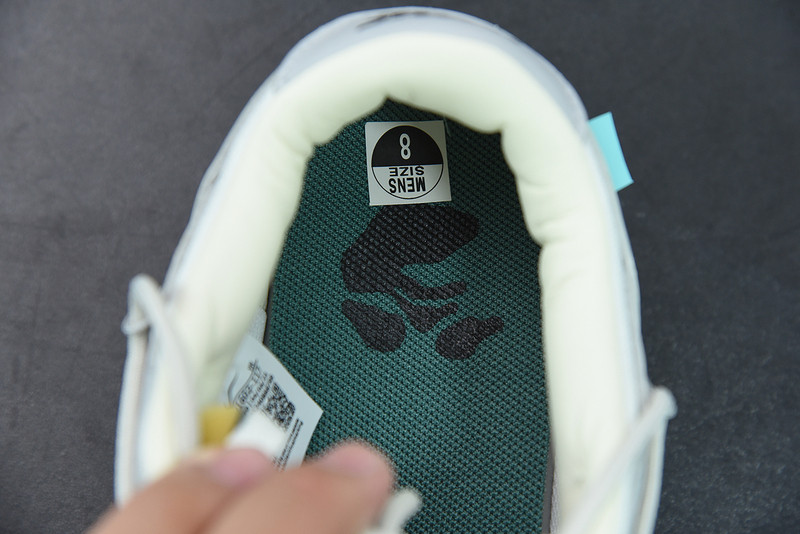 of x dunk low 