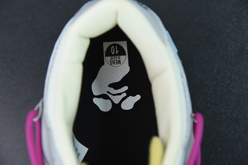 of x dunk low 