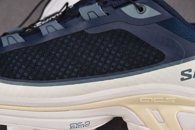 salomon xt-6 ft