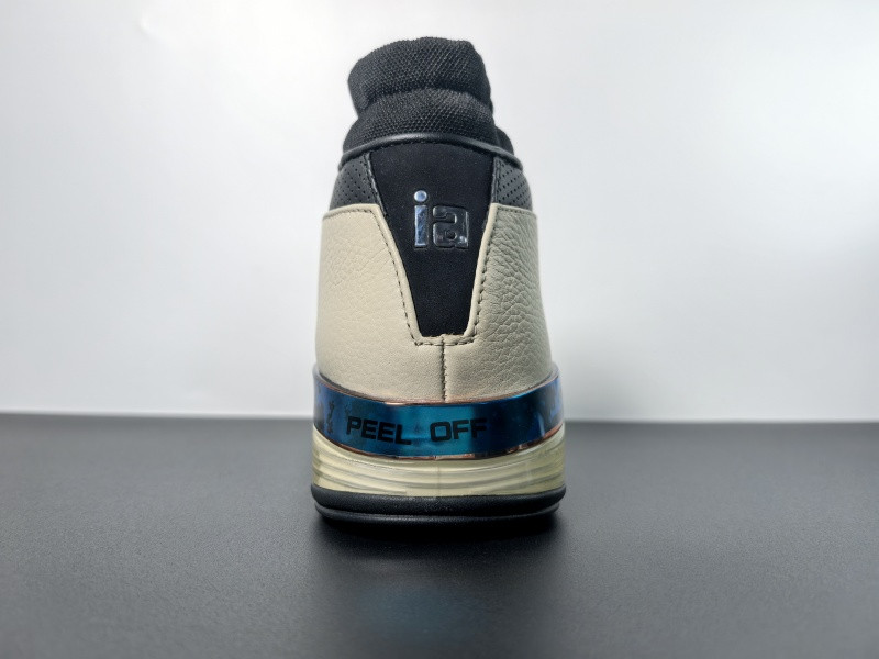 Air Jordan 17 Low 