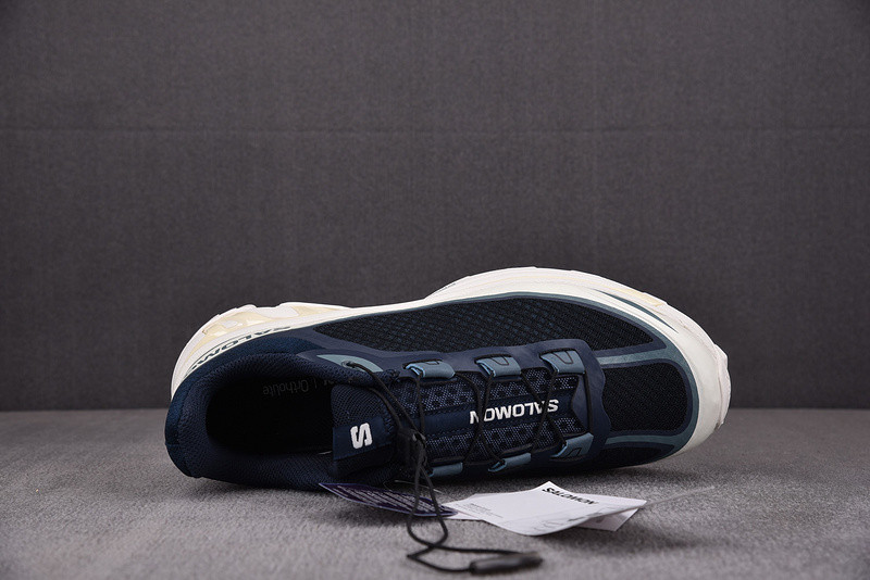 salomon xt-6 ft
