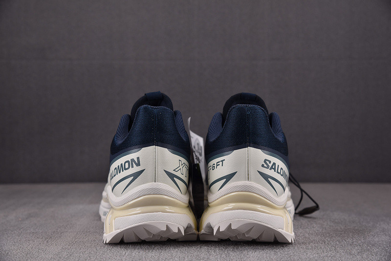 salomon xt-6 ft