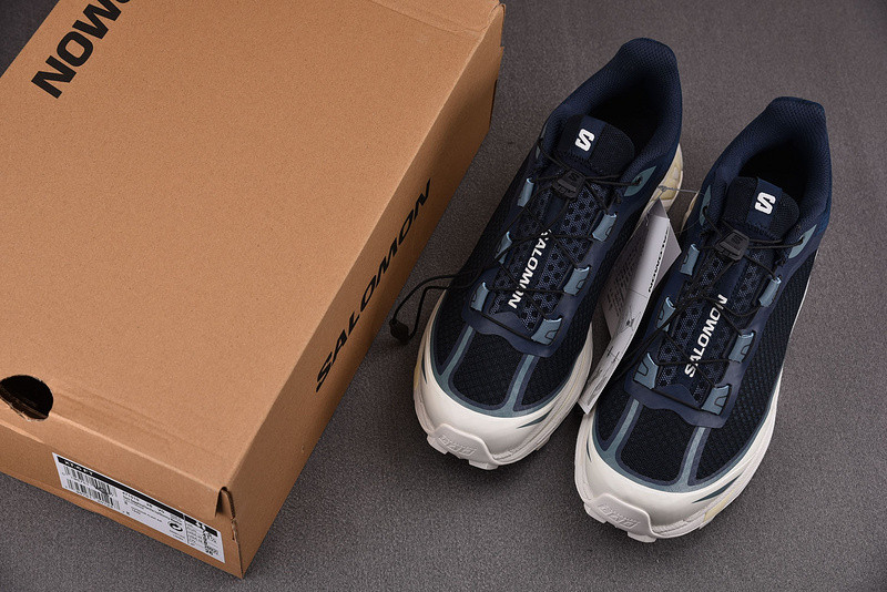 salomon xt-6 ft