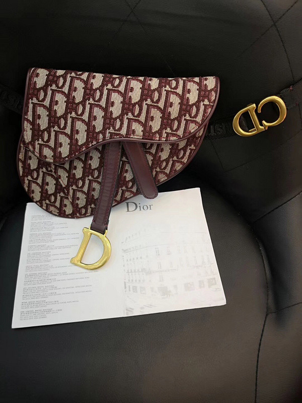 DIor BAG